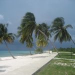 Beach at Maria la Gorda, Cuba