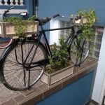 Bike at Cafe Rueda - Home of BicycleBreeze