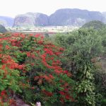 Valle de Viñales - Fat Mary Cycling Tour - Bicyclebreeze
