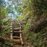 Ladder found trekking Pico Turquino