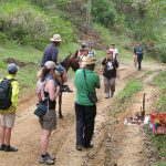 Hiking Turquino, Santiago de Cuba - Bicycle Breeze Celia Sanches cycling tour in Cuba