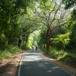 selfguided bike Sri Lanka