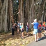 Botanical Gardens - Cayo - Trinidad