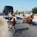 Cyclists and horse cart - Cayo - Matanzas