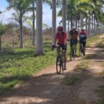 Cycling in Royal Palms - Artemisia - FM, Gringo